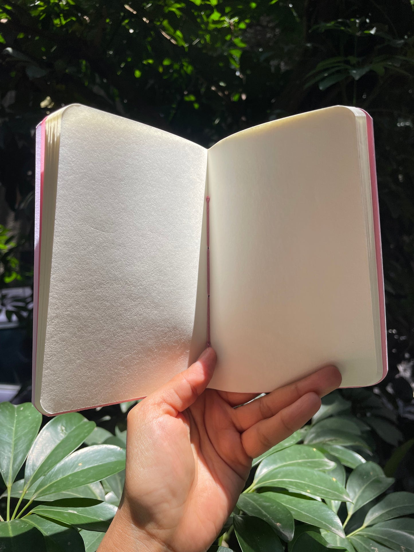 PINKA libreta Virginia Woolf