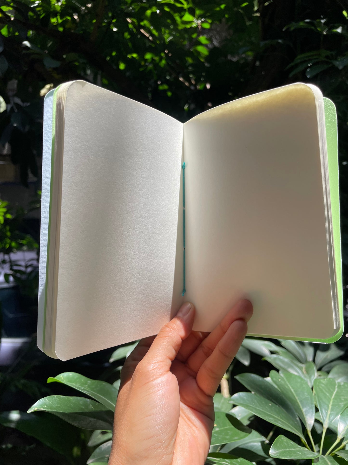 PINKA libreta Mary Shelley