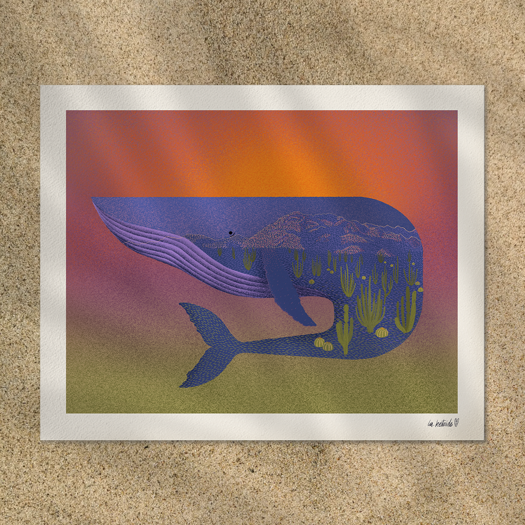 LA KETOIDE print ballena baja