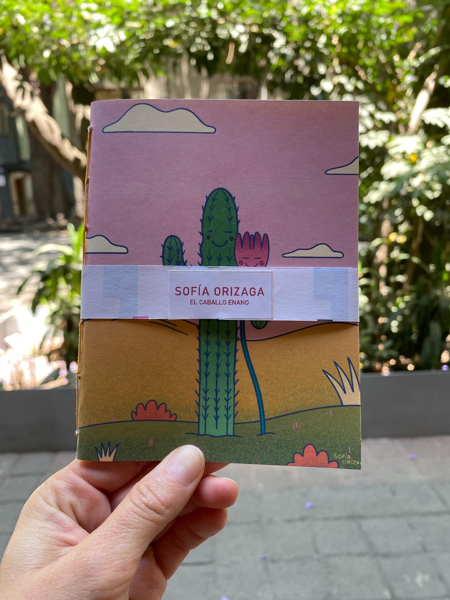 SOFÍA ORIZAGA cuaderno flor y cactus