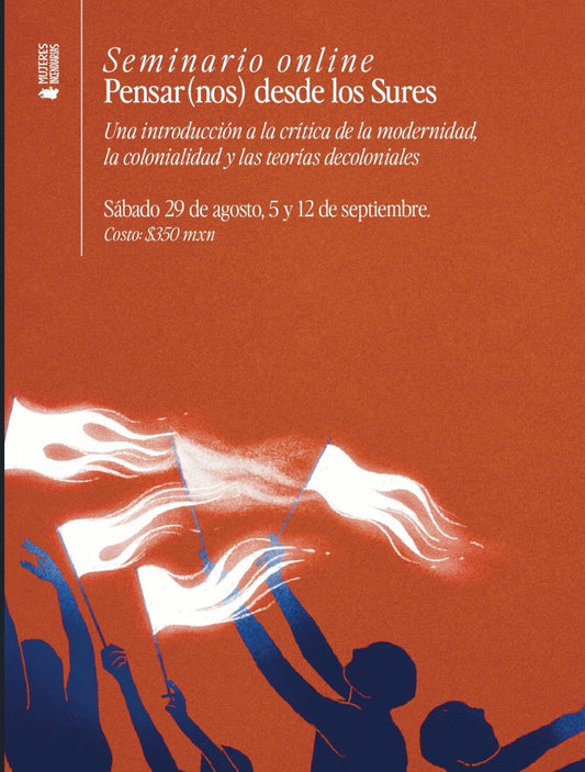 Seminário Online Pensar(nos) desde los sures