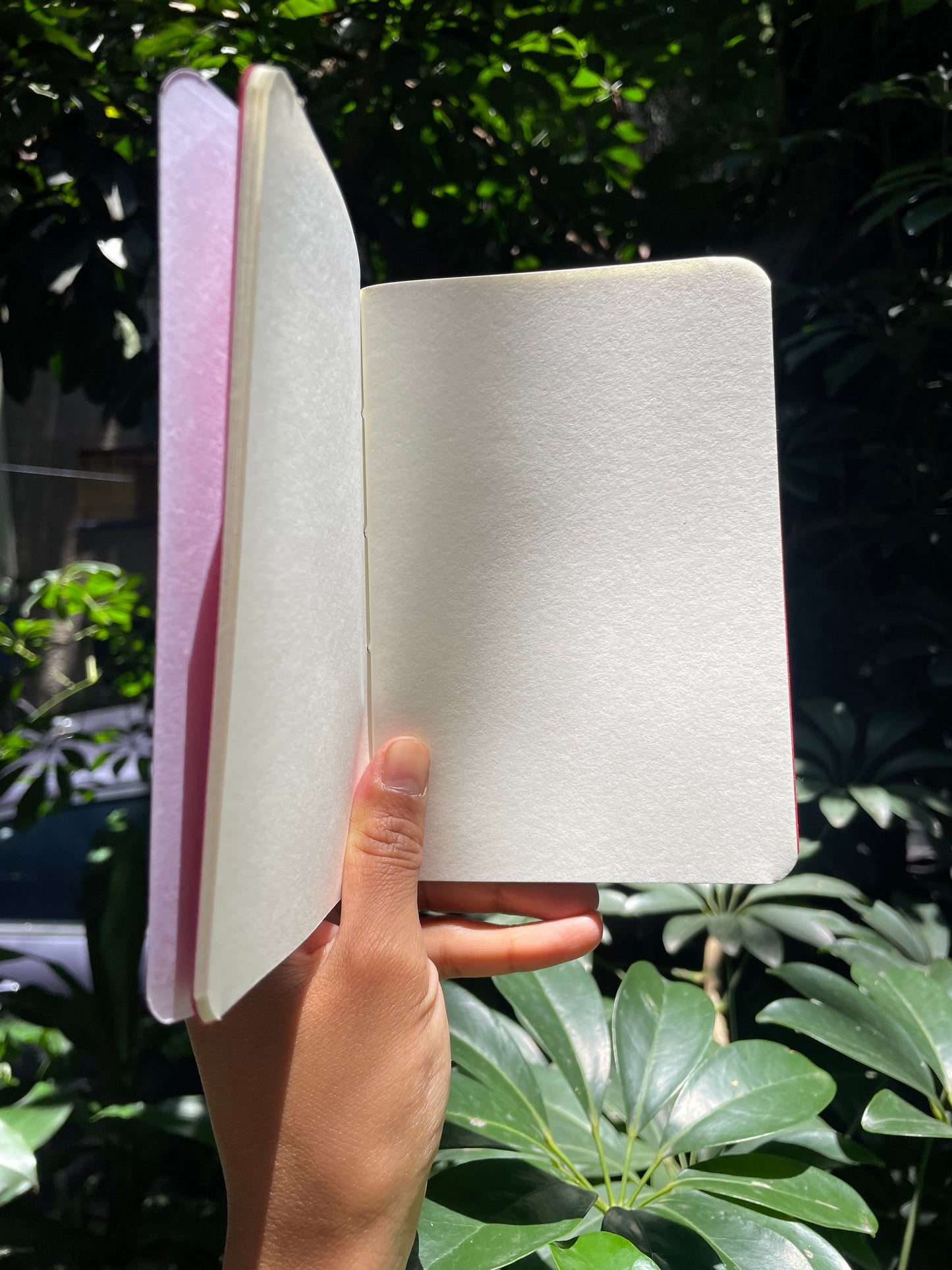 PINKA libreta Clarice Lispector
