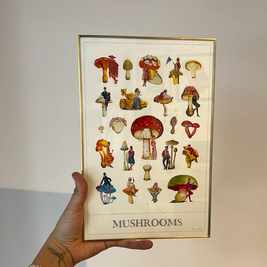 MARIANADEALBA cuadro mushrooms (19 x 28 cm)