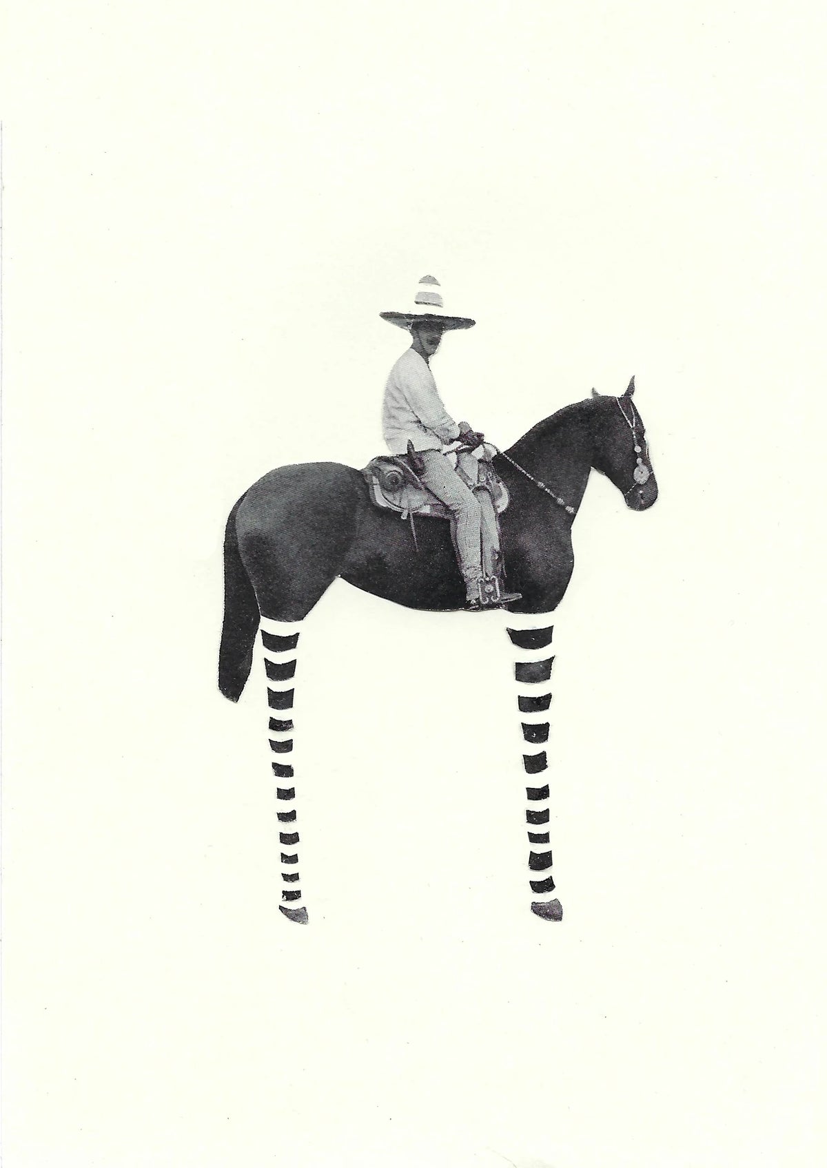 MARIANADEALBA print caballo pequeño