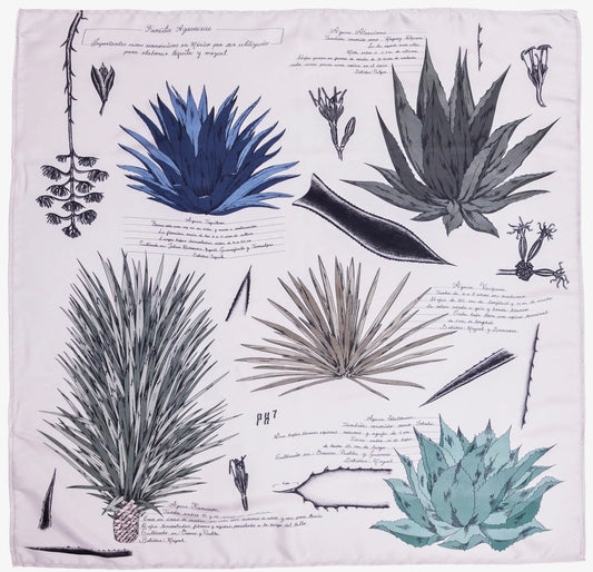 DOS BRUJAS mascada agaves