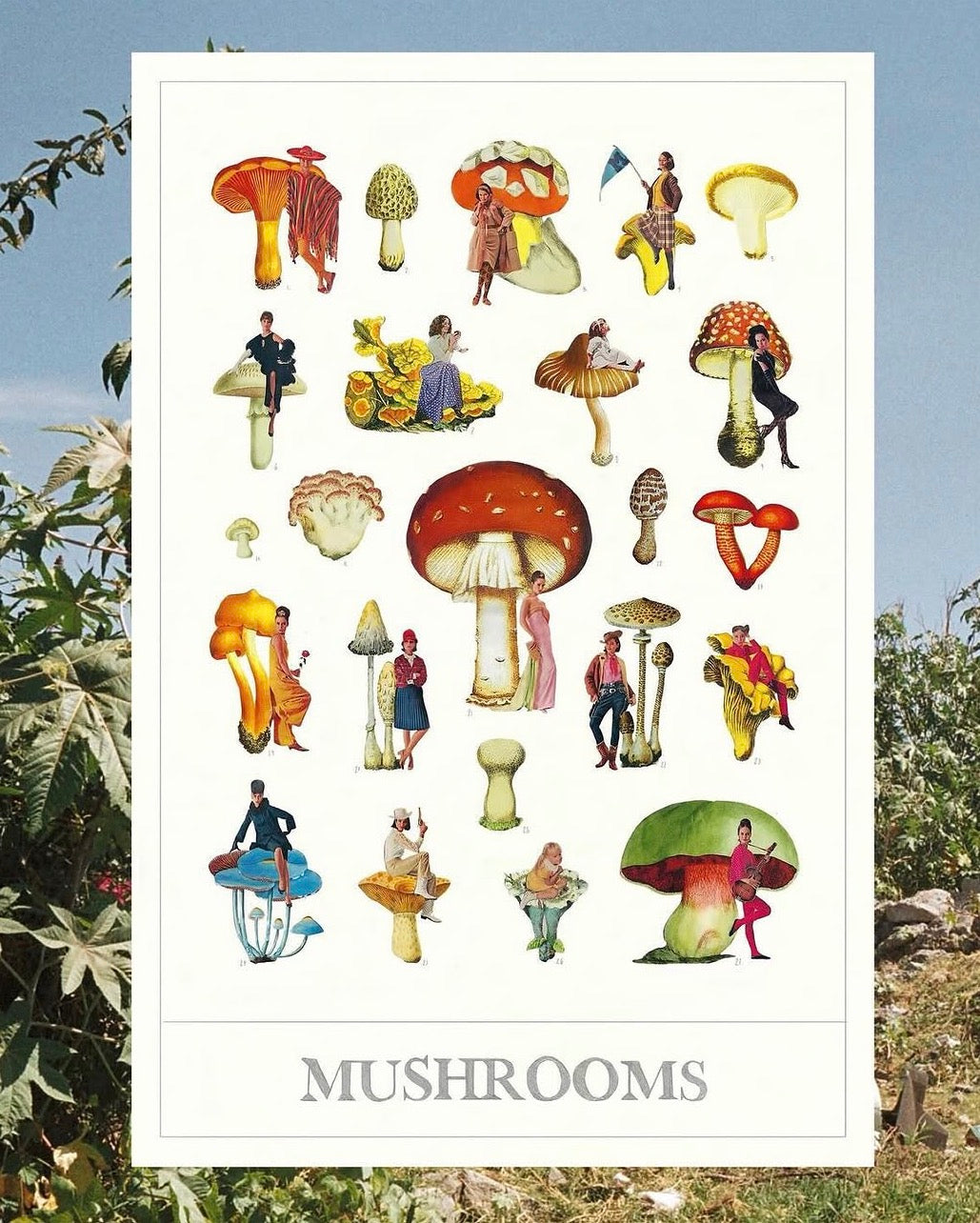 MARIANADEALBA print mushroom pequeño (18x28 cm)