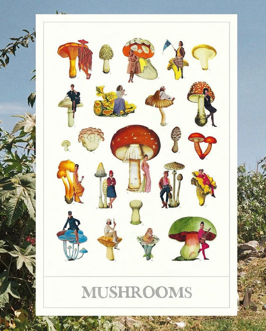 MARIANADEALBA print mushroom pequeño (18x28 cm)