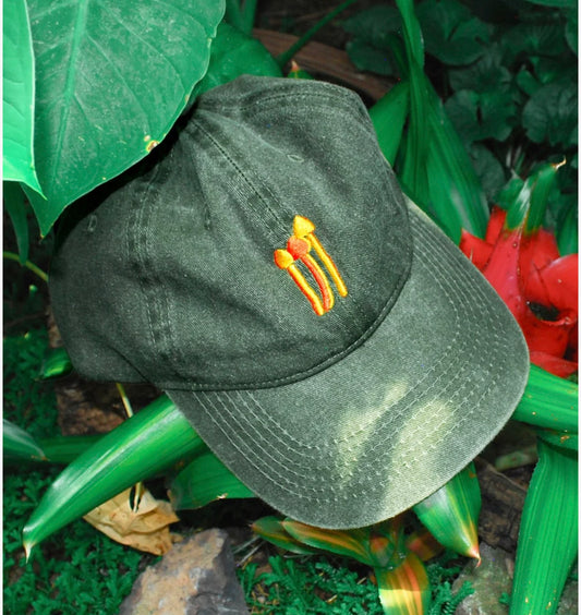 DOS BRUJAS gorra hongos