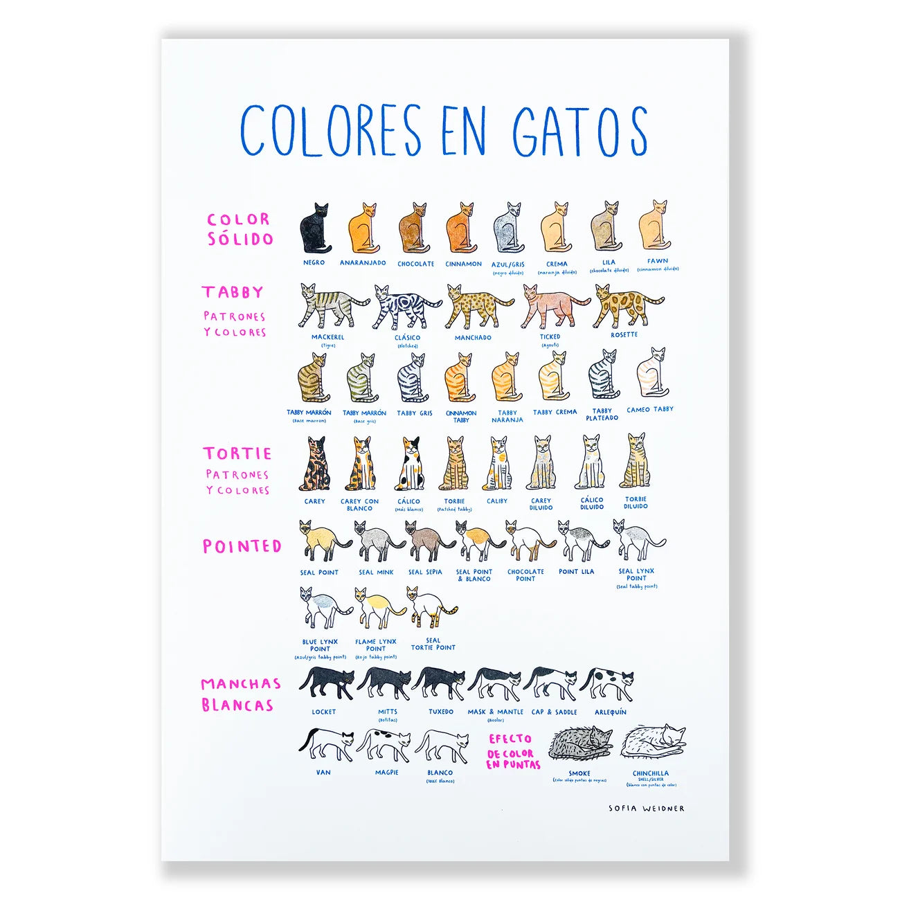 SOFIAWEIDNER print tabloide colores en gato