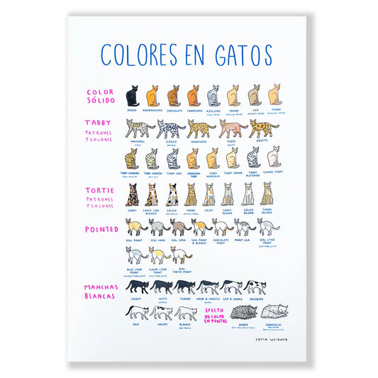 SOFIAWEIDNER print tabloide colores en gato