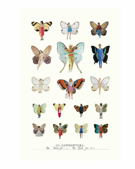 MARIANADEALBA print lepidopteras pequeño (18x28 cm)