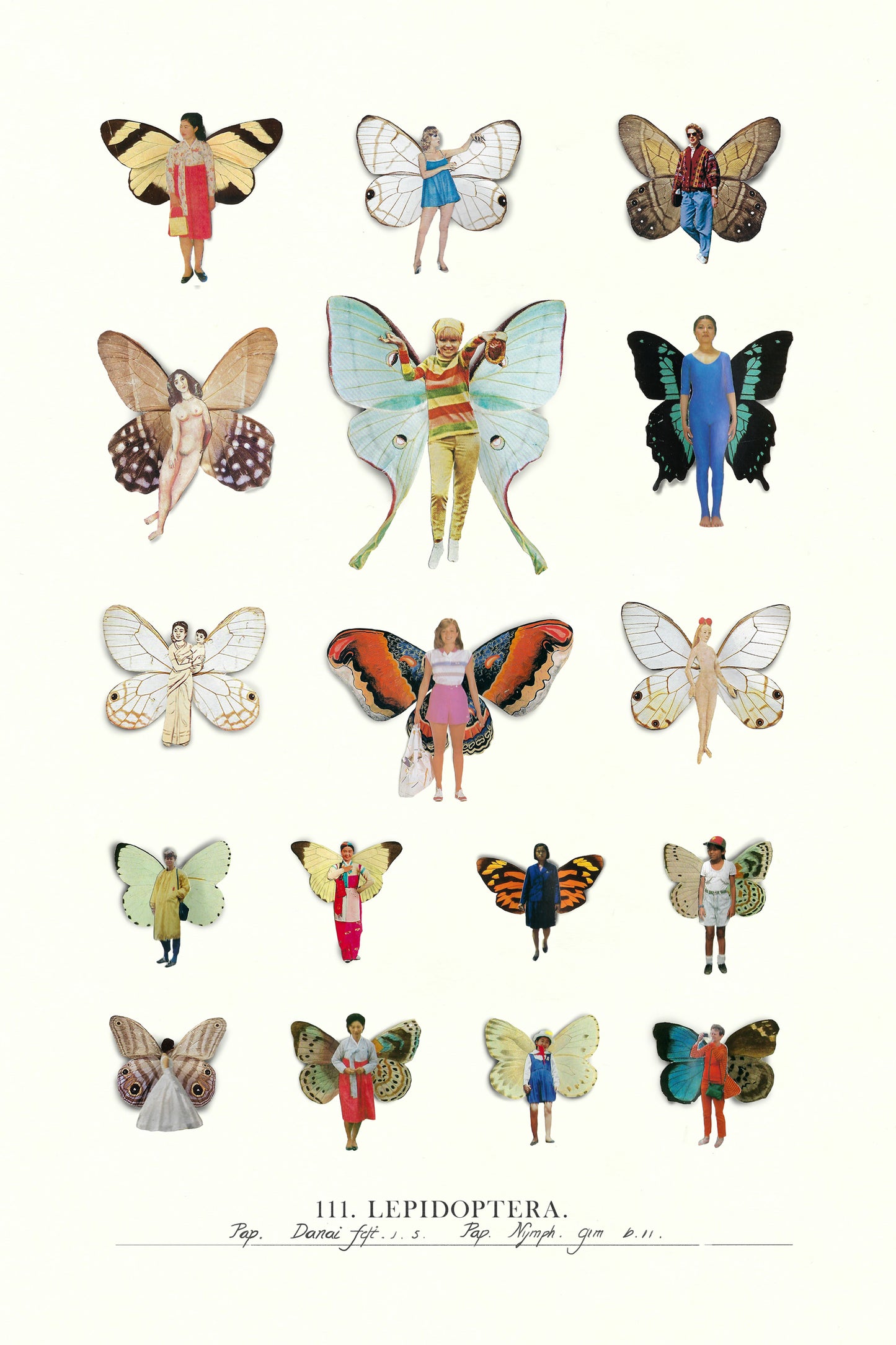 MARIANADEALBA cuadro lepidopteras grande (28 x 43 cm)