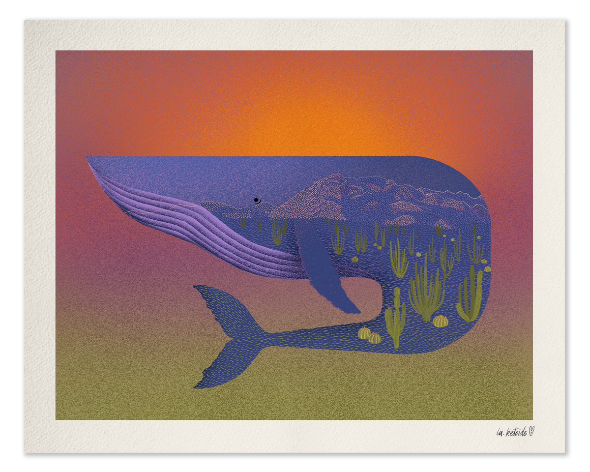 LA KETOIDE print grande ballena baja
