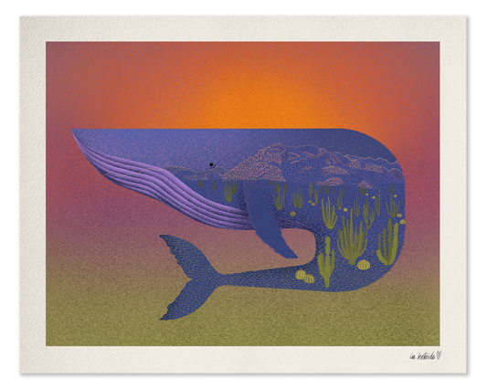 LA KETOIDE print grande ballena baja
